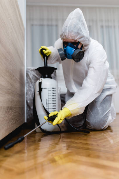 Best Pest Prevention Services  in Murphy, MO